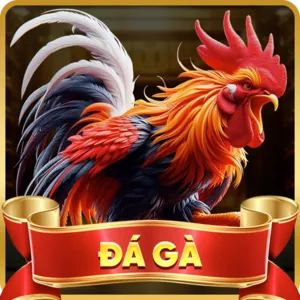 Đá gà trực tiếp OK789